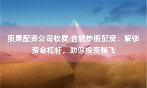股票配资公司收费 合肥炒股配资：解锁资金杠杆，助你投资腾飞