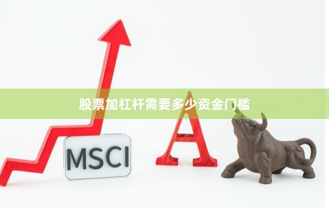 股票加杠杆需要多少资金门槛